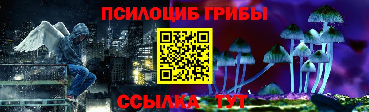 Псилоцибиновые грибы Magic Shrooms Видное