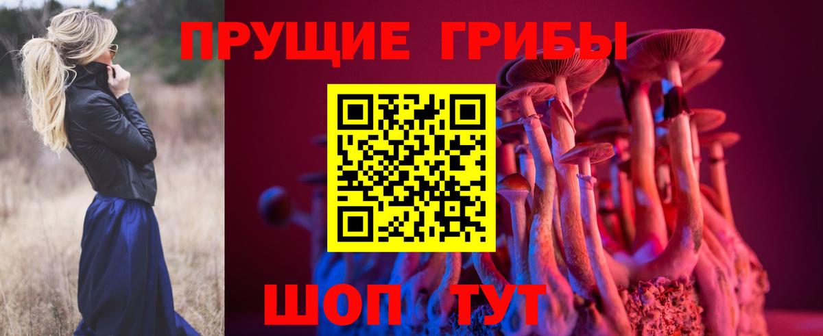 Видное  Псилоцибиновые грибы Psilocybe  Галлюциногенные грибы мухоморы  Вход с VPN 